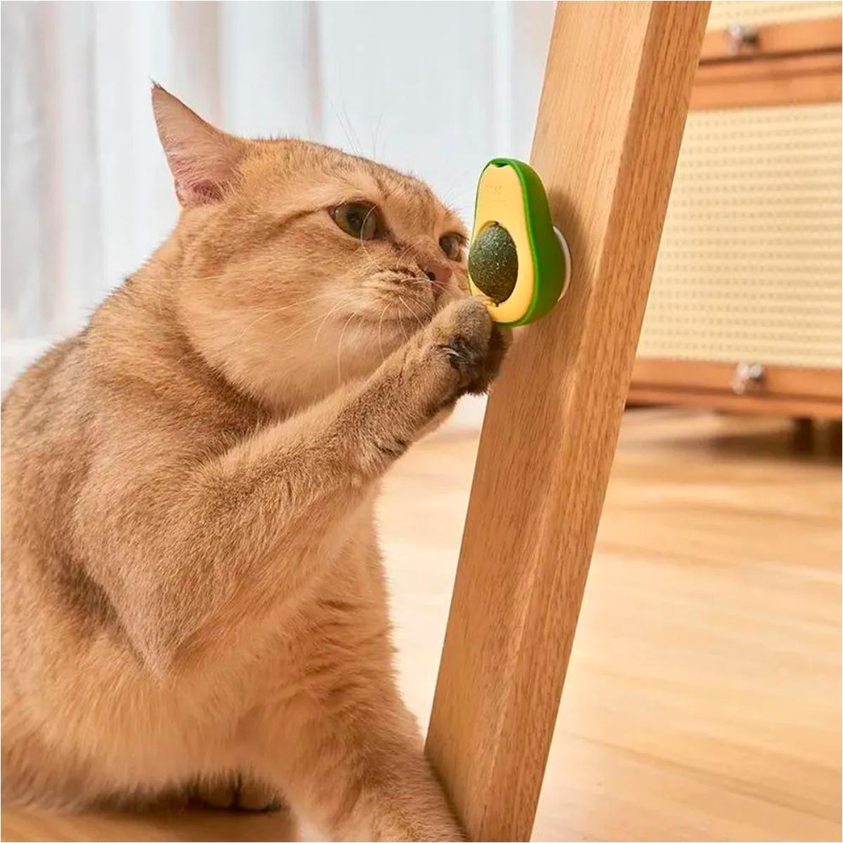 Juguete Para Gatos Anti Estrés AHY03