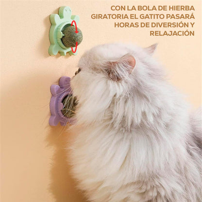 Juguete Para Gatos Anti Estrés AHY03