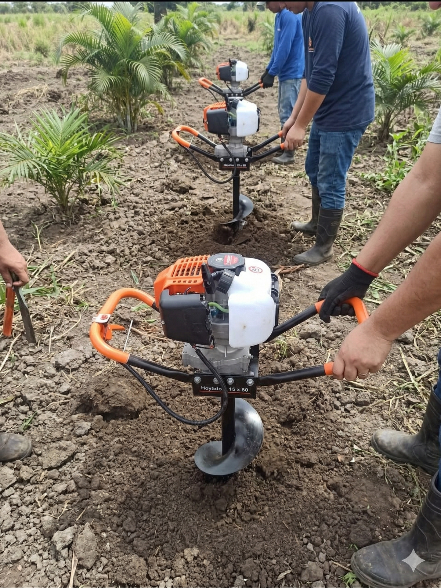 HOYADORA AHOYADORA 15X80 STIHL PROFESION